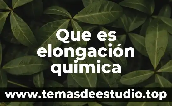 Qué es la multiplicación de números con signo 3 Que es elongación quimica