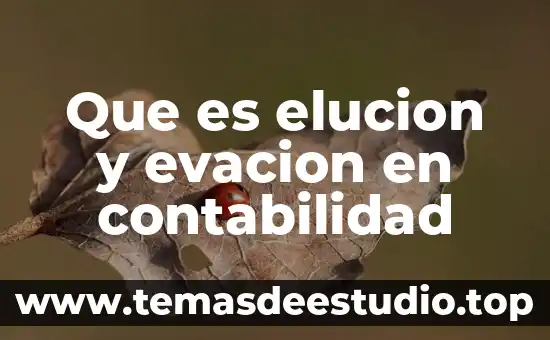 Qué es la medición y control de rentabilidad en contabilidad 6 Que es elucion y evacion en contabilidad