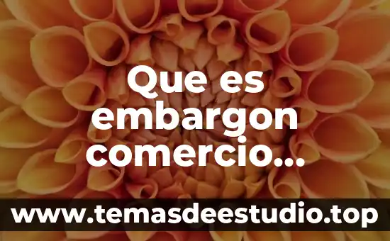 Que es el glosa en comercio exterior 3 Que es embargon comercio exterior