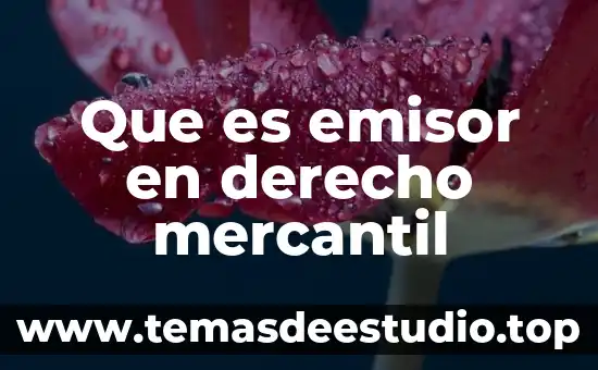 Ignacio Burgoa definición que es el derecho 4 Que es emisor en derecho mercantil