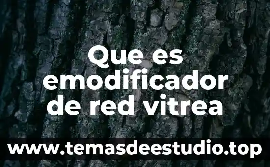 Que es red nacional del arte 6 Que es emodificador de red vitrea