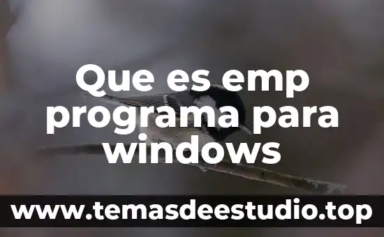 Qué es el número de KB según Windows 6 Que es emp programa para windows