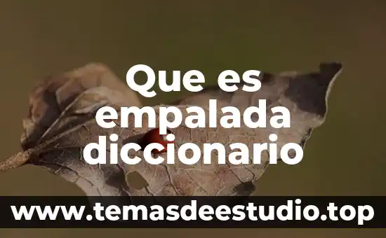Qué es etimología en el diccionario 5 Que es empalada diccionario