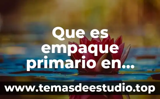 Que es la historia rincon del vago 4 Que es empaque primario en logística