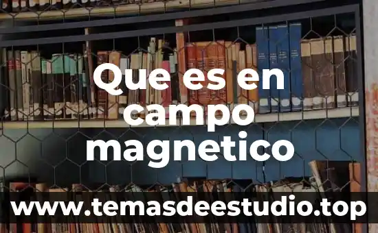 Que es el campo petrolero o planta refinería de petroleo 7 Que es en campo magnetico