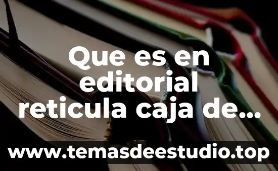 Que es en editorial reticula caja de texto