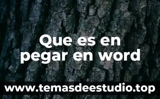 Que es en pegar en word