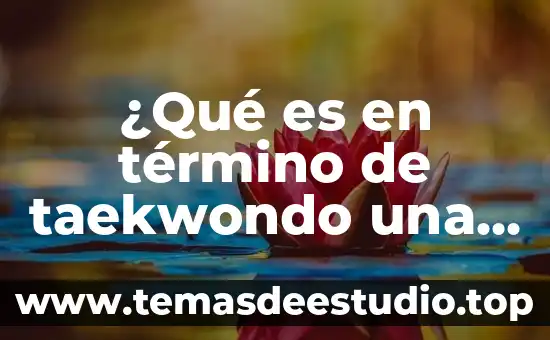 ¿Qué es en término de taekwondo una pochagui?