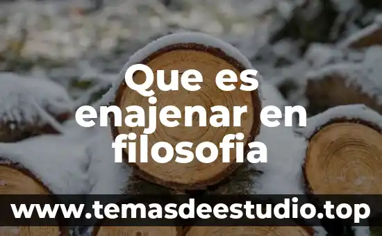 Que es enajenar en filosofia
