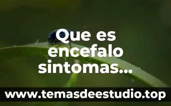 Qué es una planta de tratamiento de aguas negras 7 Que es encefalo sintomas causas y tratamiento