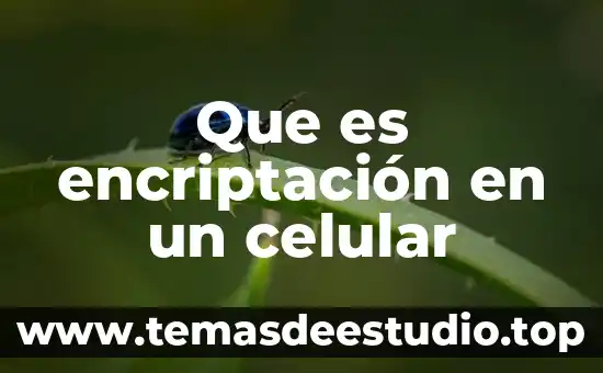 Que es la inflamación celular 7 Que es encriptación en un celular