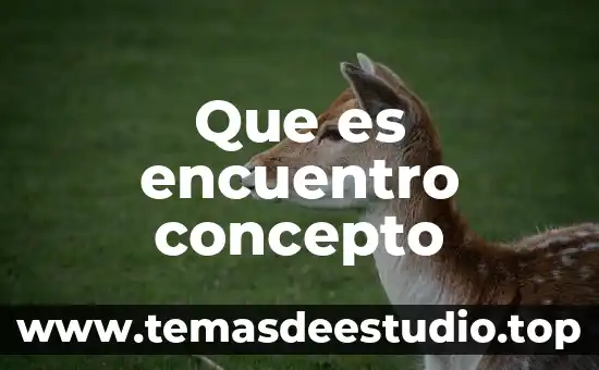 Que es encuentro concepto