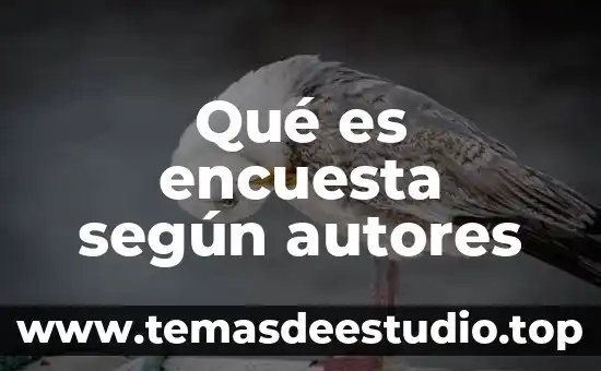 Autores reconocidos sobre qué es identidad 4 Qué es encuesta según autores
