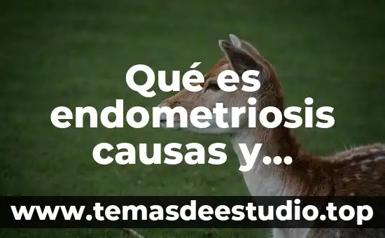 Que es el desplazamiento de la tierra causas y consecuencias 8 Qué es endometriosis causas y consecuencias