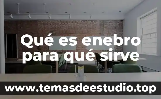 Qué es la planta moringa y para qué sirve 5 Qué es enebro para qué sirve