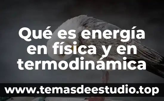 Qué es energía en física y en termodinámica