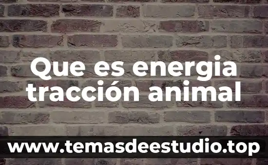 Que es la fuerza de traccion en un puente colgante 6 Que es energia tracción animal