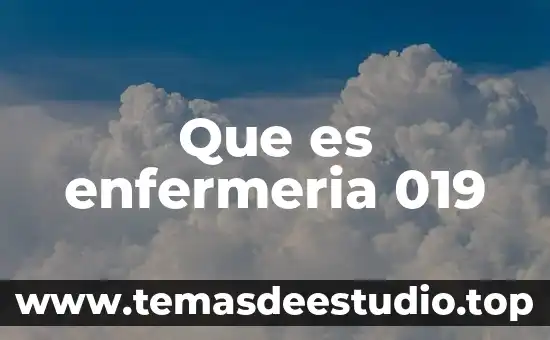 Que es campo clínico en las prácticas de enfermería 5 Que es enfermeria 019
