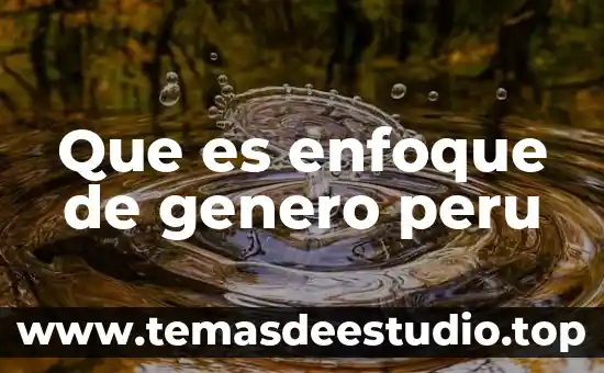Que es el genero formacion 6 Que es enfoque de genero peru
