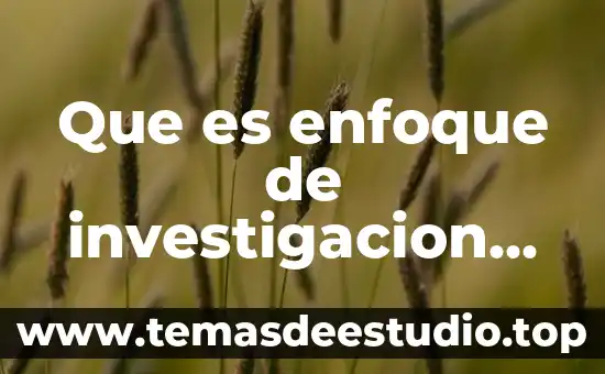 Que es enfoque de investigacion cualitativa