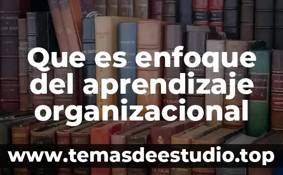 Que es una cultra organizacional 4 Que es enfoque del aprendizaje organizacional