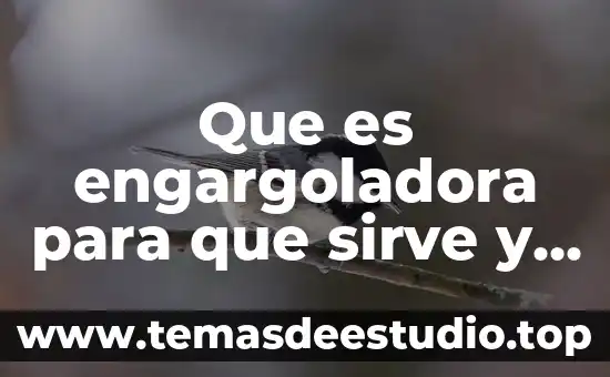 Que es engargoladora para que sirve y donde se usa