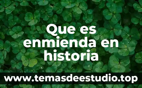 Introducción sobre que es historia para un ensayo 6 Que es enmienda en historia