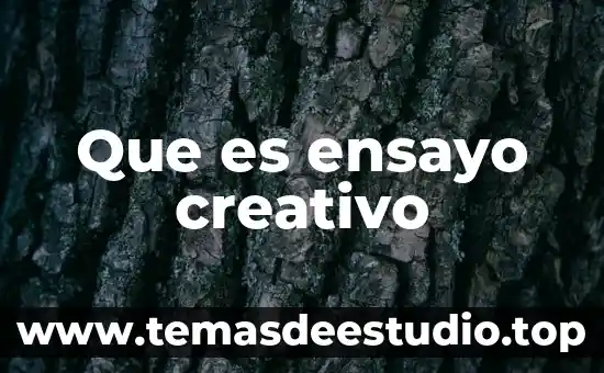 Qué es el proceso creativo definición 5 Que es ensayo creativo