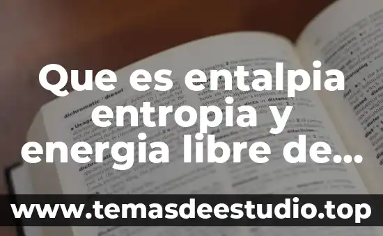 ¿Qué es energía cinética? 4 Que es entalpia entropia y energia libre de gibbs