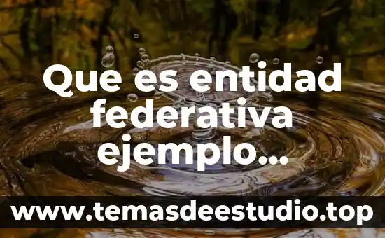 Qué es argumento deductivo analógico deductivo con un ejemplo 4 Que es entidad federativa ejemplo culiacan