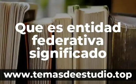 Qué es un tapete de felpa significado 7 Que es entidad federativa significado