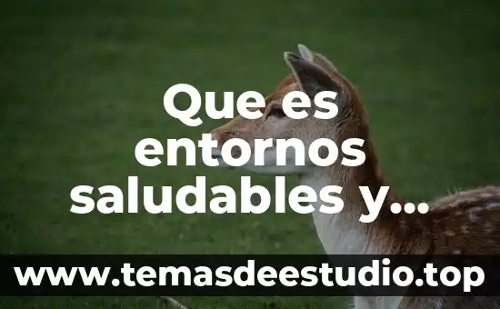 Que es ser agente de seguros 8 Que es entornos saludables y seguros