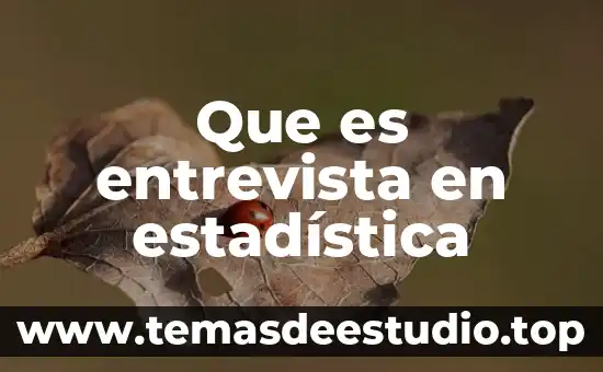 Que es entrevista en estadística