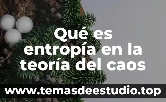 Qué es ente formal en filosofía 7 Qué es entropía en la teoría del caos