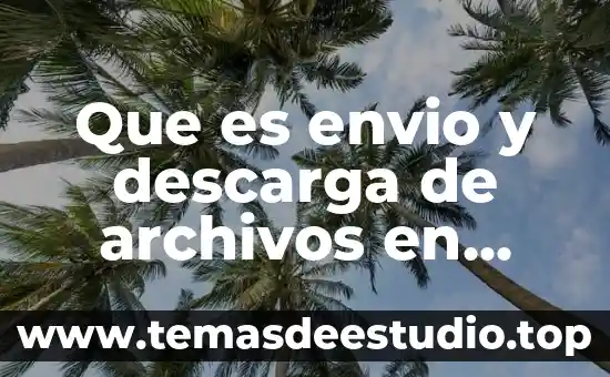 Archivos uuuu.uuuu en memorias que es 8 Que es envio y descarga de archivos en informatica