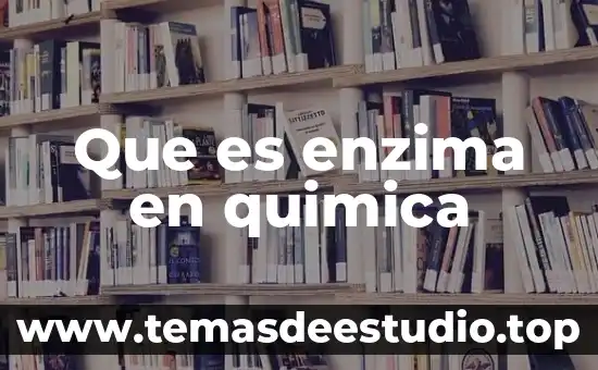 Que es el arte conceptua 7 Que es enzima en quimica