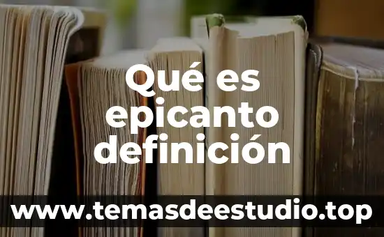 Qué es ovillo definición 4 Qué es epicanto definición