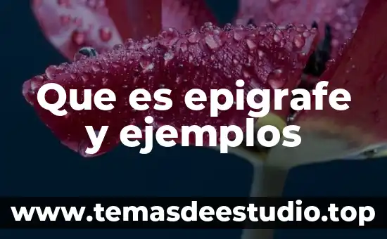Qué es el movimiento armónico ejemplos 8 Que es epigrafe y ejemplos