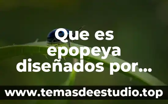 Qué es una comunidad fidelizada 3 Que es epopeya diseñados por la comunidad