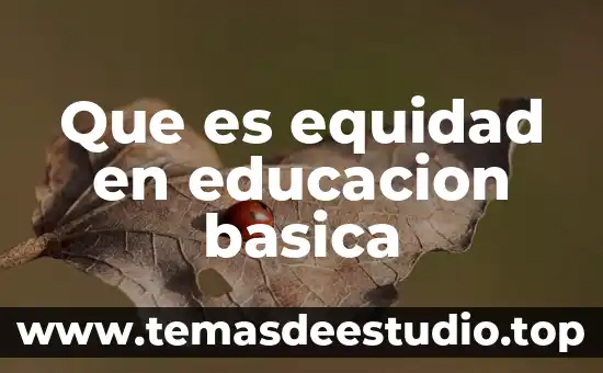 Que es equidad en educacion basica