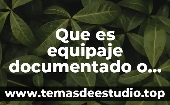Que es equipaje documentado o no