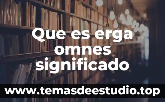Significado de que es la constitucion mexicana 4 Que es erga omnes significado