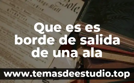 Que es es borde de salida de una ala