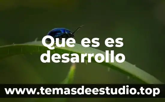 Que es es desarrollo