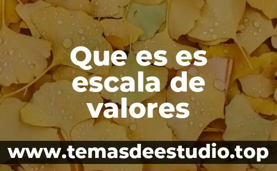 Que es es escala de valores
