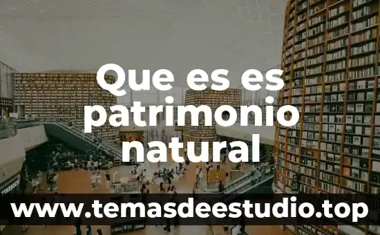 Que es es patrimonio natural