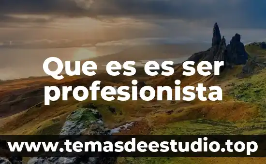 Que es ser largo 5 Que es es ser profesionista