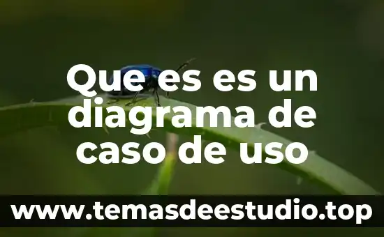 Que es es un diagrama de caso de uso