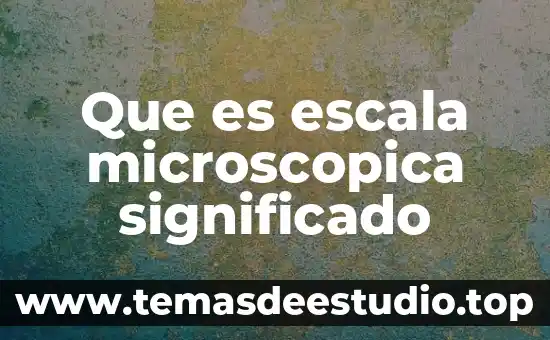 Qué es marabunta significado 7 Que es escala microscopica significado