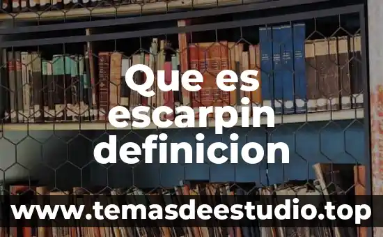 Investigas que es libertad 5 Que es escarpin definicion